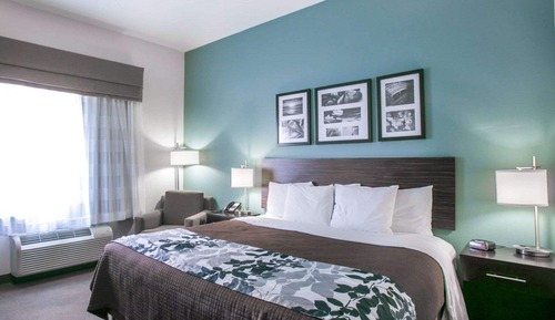 Standard Room, 1 King Bed, Non Smoking
