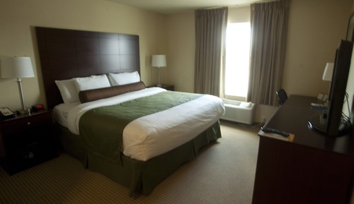 1 King Bed, Accessible Roll in Shower, Non Smoking