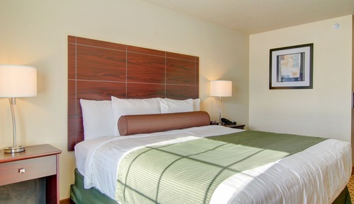 Room, 1 King Bed, Accessible Roll in Shower, Non Smoking