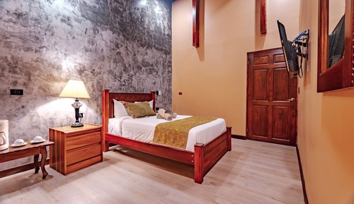Standard Room (1 Queen Bed)