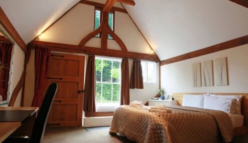 Business Double Room, 1 King Bed, Garden View