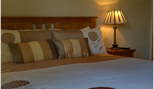 Room, 1 Queen Bed