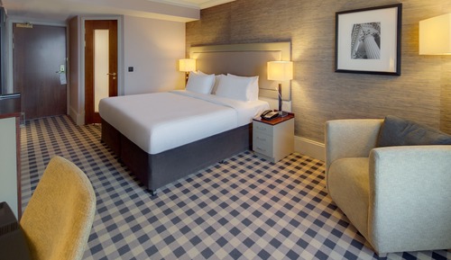 Room, 1 King Bed