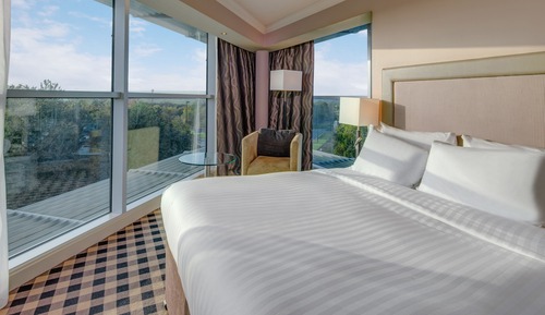 Room, 1 Queen Bed, Accessible