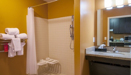 Studio, 1 King Bed with Sofa bed, Non Smoking (Mobility/Hearing Access, Roll-In Shwr)