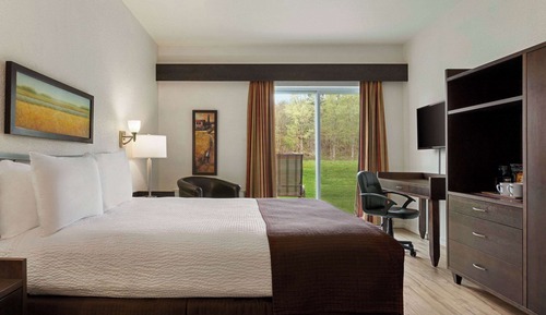 Room, 1 Queen Bed, Non Smoking, Poolside