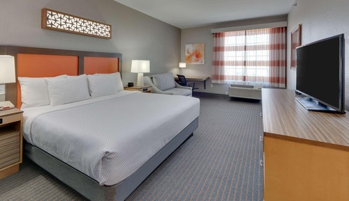 Room, 1 King Bed, Accessible, Non Smoking (Mobility/Hearing, Roll-In Shower)