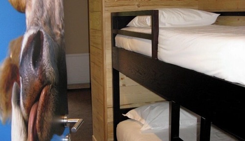 Superior Quadruple Room