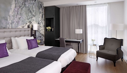 Superior Room