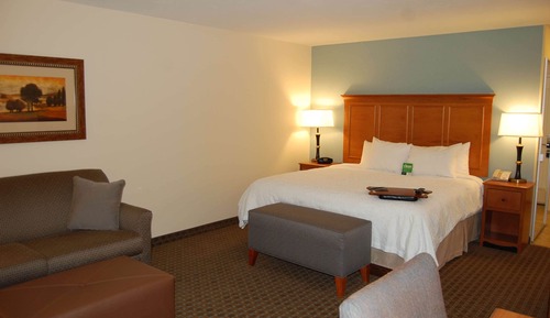 Room, 1 King Bed with Sofa bed (Study)