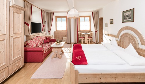 Family Room, 1 King Bed with Sofa bed