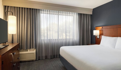 Suite, 1 King Bed with Sofa bed