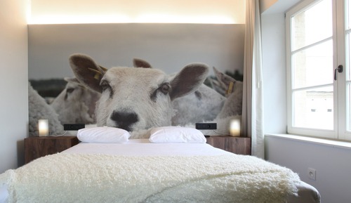 Standard Double Room Single Use