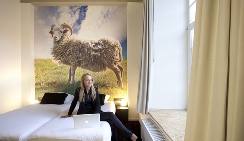 Standard Double or Twin Room
