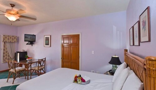 Deluxe Room, 1 Queen Bed, Patio