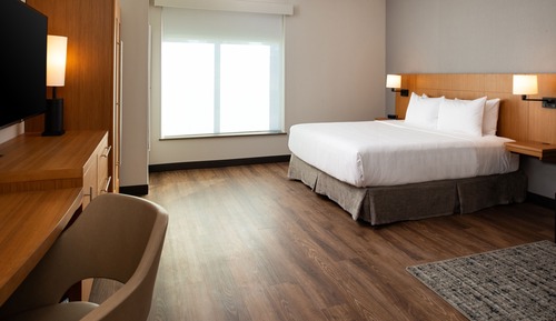 Room, 1 King Bed with Sofa bed, Accessible, Bathtub