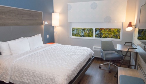 Room, 1 King Bed