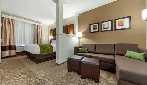 Suite, 1 King Bed with Sofa bed, Accessible, Non Smoking (Efficiency, Upgrade)