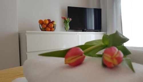 Standard Apartment
