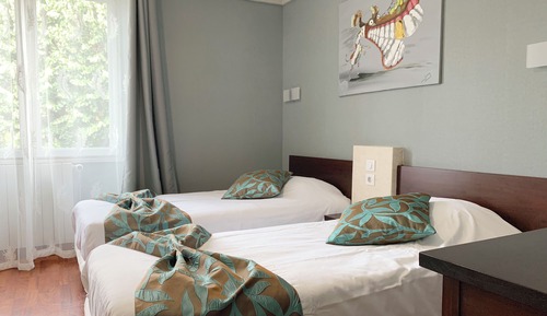 Deluxe Twin Room