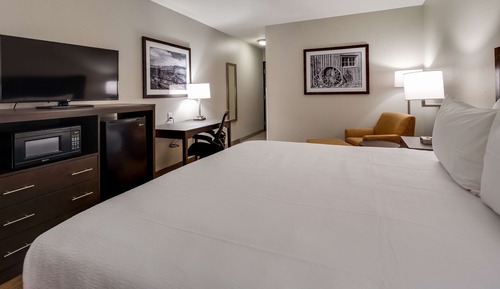 Standard Room, 1 King Bed, Non Smoking, Refrigerator & Microwave