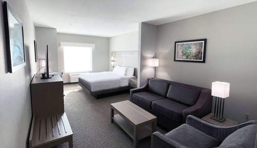 Single Room, 1 King Bed, Non Smoking (Mobility, Bathtub w/Grab Bars)