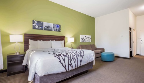 Business Suite, 1 King Bed, Non Smoking (Efficiency)