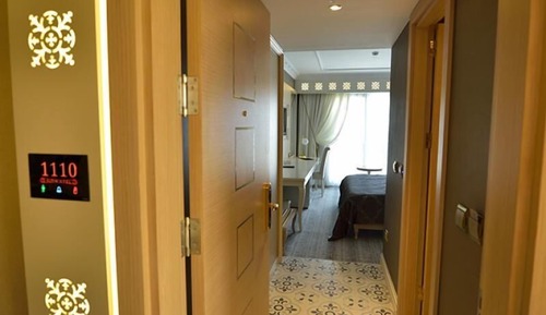 Standard Double or Twin Room