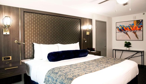 Room, 1 King Bed, Non Smoking
