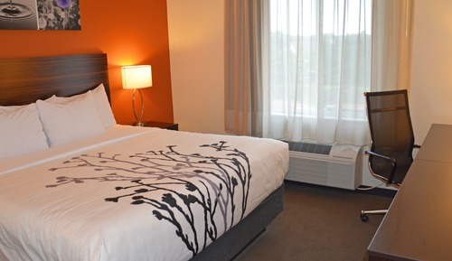 Standard Room, 1 King Bed, Non Smoking
