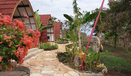 Deluxe Double or Twin Room, Beach View