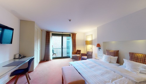 Business Double Room Single Use