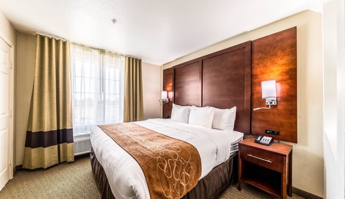 Suite, 1 King Bed with Sofa bed, Non Smoking