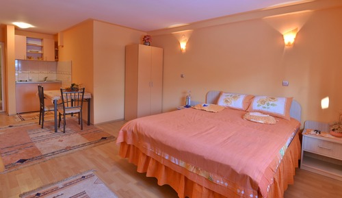 Deluxe Studio, 1 King Bed, Private Bathroom