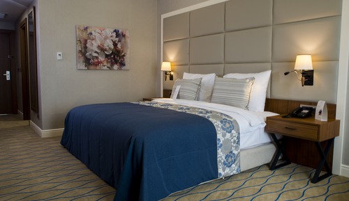 Room, 1 King Bed, Non Smoking