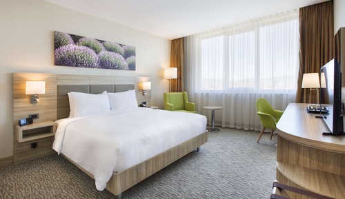 Room, 1 King Bed