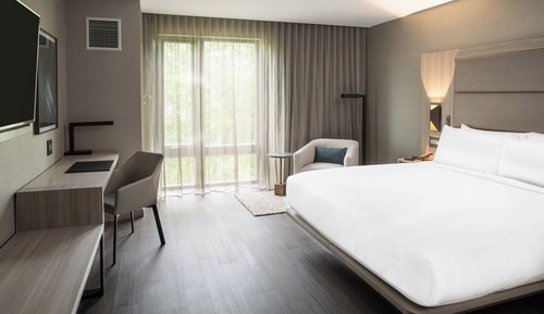 Room, 1 King Bed