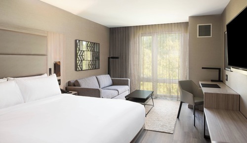 Room, 1 King Bed with Sofa bed