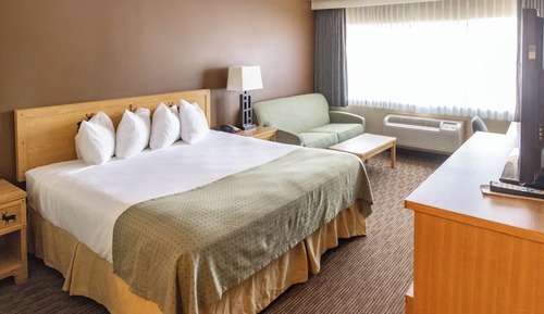 Room, 1 King Bed with Sofa bed