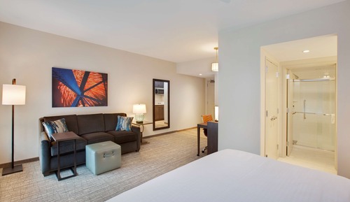 Studio Suite, 1 King Bed with Sofa bed, Non Smoking