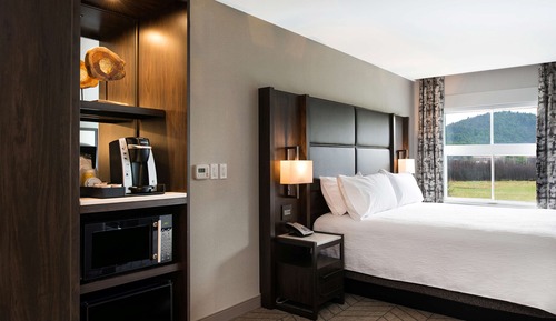 Room, 1 King Bed, Accessible (Mobility & Hearing, Roll-in Shower)