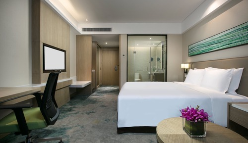 Standard Room, 1 King Bed, Accessible