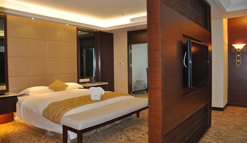 Premium Suite