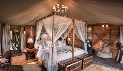 Luxury Tent (Family)