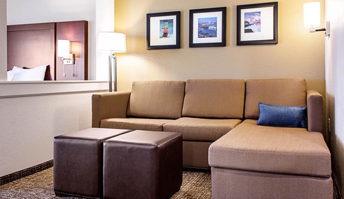 Suite, 1 King Bed with Sofa bed, Non Smoking (Large Suite)