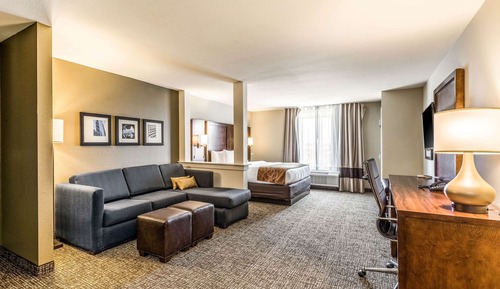 Suite, 1 King Bed with Sofa bed, Non Smoking, Kitchenette