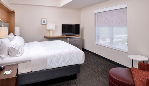 Premium Suite, 1 King Bed with Sofa bed (Mobility, Access Tub)