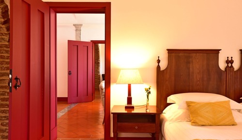 Standard Suite (Triple)