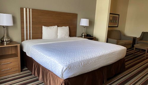 Standard Room, 1 King Bed, Non Smoking, Refrigerator & Microwave (Larger Room)