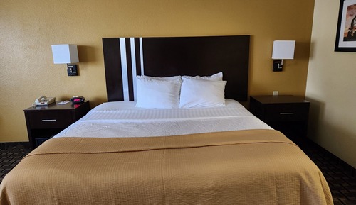 Room, 1 King Bed, Non Smoking